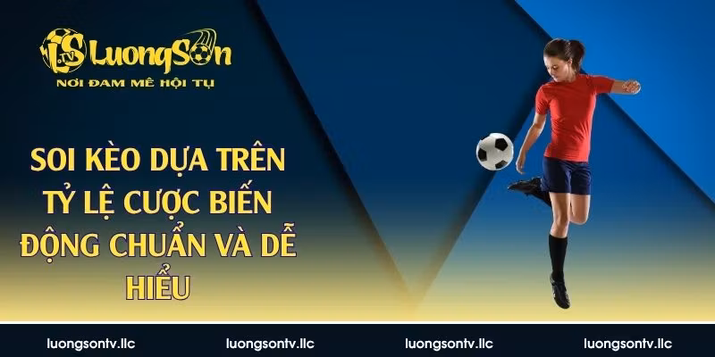 Soi Kèo Dựa Trên Tỷ Lệ Cược Biến Động Chuẩn Và Dễ Hiểu